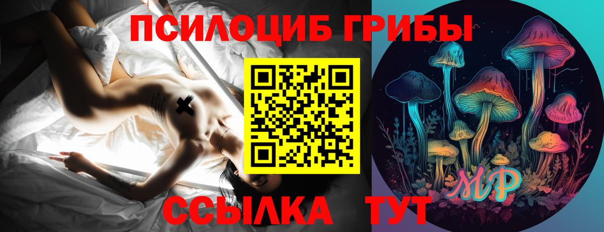Юрга  Псилоцибиновые грибы Magic Shrooms  Вход с VPN 